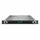 Hewlett Packard Enterprise ProLiant DL360 Gen11 Server - 64 GB - 960 GB