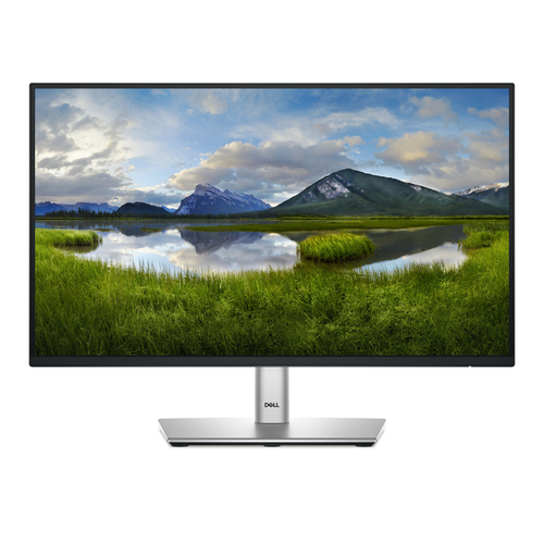 DELL 22 MONITOR-P2225H 21.5IN 1920 1080