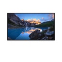 Dell UltraSharp 24 Monitor - U2424H w/t stand