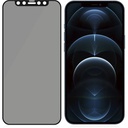 Panzerglass PG iPhone 12Pro Max Case Priv AB Black