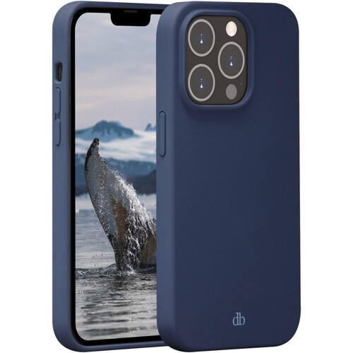 Dbramante1928 Monaco