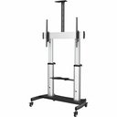 Startech.Com Mobile TV Stand - Heavy Duty TV Cart for 60-100" - Adjustable