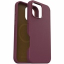 Otterbox iPhone 16 Pro Max Case Symmetry Series Cactus Leather for MagSafe