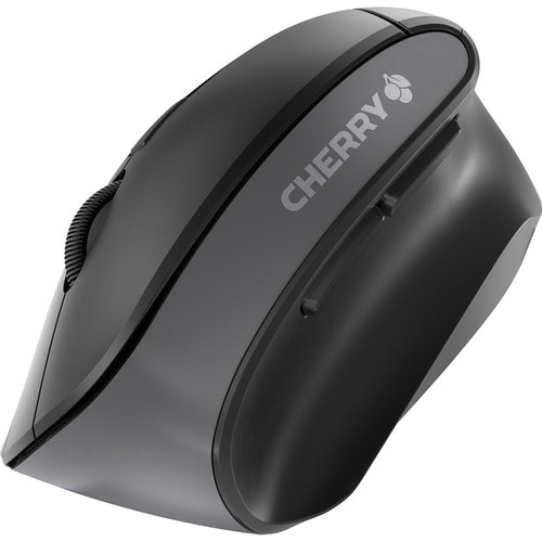 Cherry MW 4500 Mouse