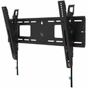 Neomounts LEVEL-750 Wall Mount (XL 125 k
