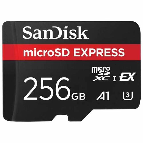 Sandisk microSD Express microSD Card - 256 GB