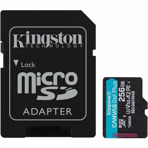 Kingston Canvas Go! Plus 256GB microSDXC Card - 256 GB