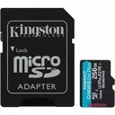 Kingston Canvas Go! Plus 256GB microSDXC Card - 256 GB