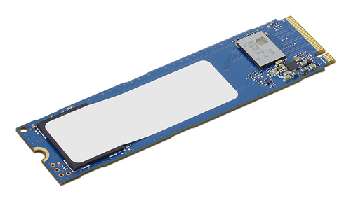 Lenovo ThinkCentre 256GB Value PCIe Gen4 NVMe O