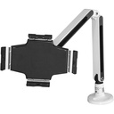 Startech.Com Desk-Mount Tablet Arm - Articulating - For iPad or Android