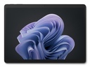 Microsoft Srfc Pro10 I7/16/512 CM ES - 16 GB