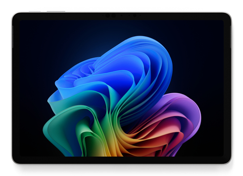 Microsoft Pro 12in SD  P/24/1TB CM Platinum - 24 GB
