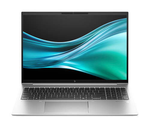 HP EliteBook 865 G11 32GB/1TB 16IN W10P - 32 GB - 1 TB