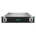 Hewlett Packard Enterprise ProLiant DL380 Gen11 - 32 GB