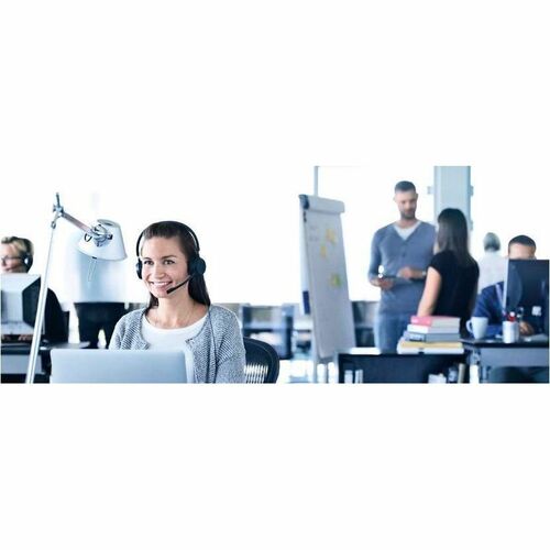 Jabra Evolve 20SE Headset